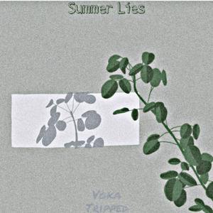 Summer Lies（夏日谎言）