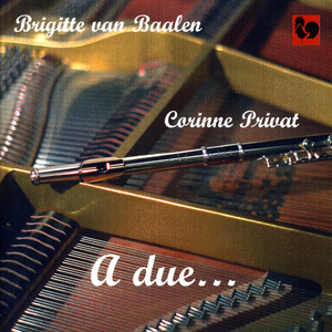 Flute Concerto in G Major: II. Andante non troppo moderato