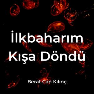 İlkbaharım Kışa Döndü (Remix)