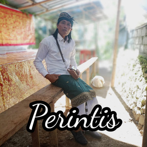Perintis