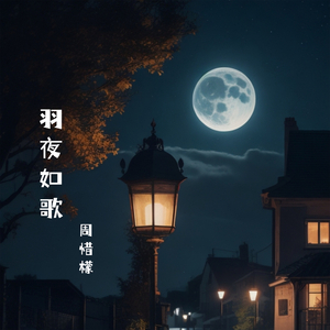 羽夜如歌