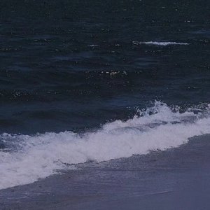 春庭雪（抒情片段）