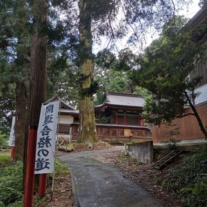 +Rage+regalia+punk+hyperpop type beat