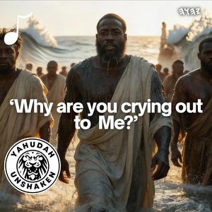 Why are you crying out to Me?