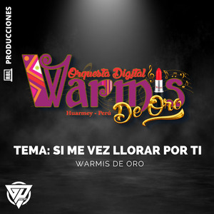 Si Me Vez Llorar por Ti (Cover)