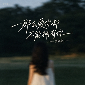 那么爱你却不能拥有你
