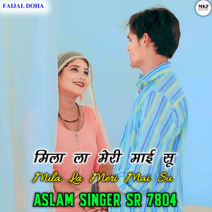 Aslam Singer SR 7804