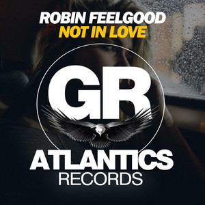 Not in Love (Dub Mix)