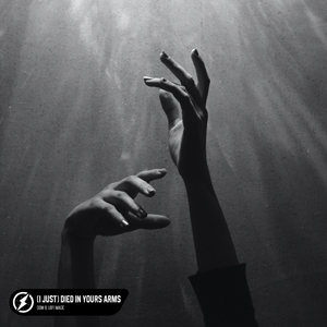 (I Just) Died In Your Arms