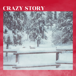 Crazy Story