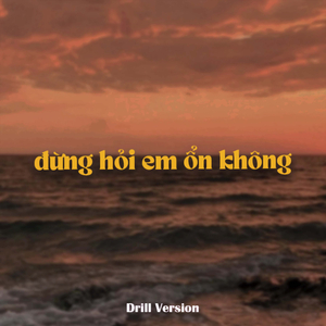 Đừng Hỏi Em Ổn Không (Remix)
