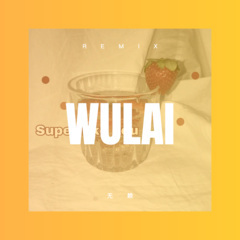 我叫安琪拉 (Remix)