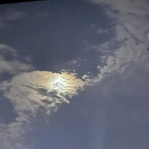 月亮也不知道我想你