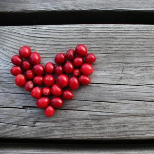 La fuerza que no presume