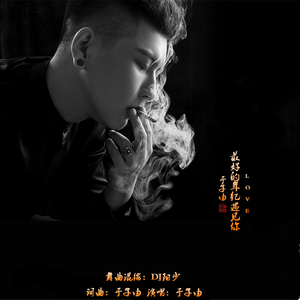 于子由-最好的年纪遇见你（DJ阳少 Remix）