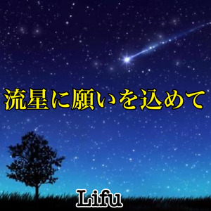 流星に願いを込めて