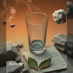 Blame me