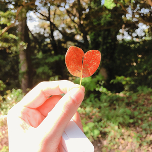 急いで急いできたけれど (feat. 知声 & さとうささら)