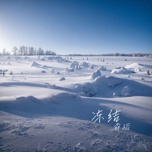 承诺