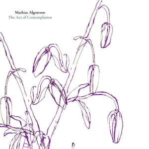 The Act of Contemplation