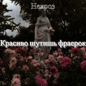 Красиво шутишь фраерок