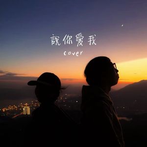 说你爱我