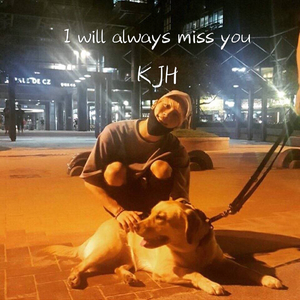 Make You Feel My Love（Cover Adele）