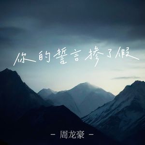 你的誓言掺了假（男声版）