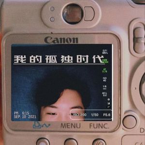 我的孤独时代