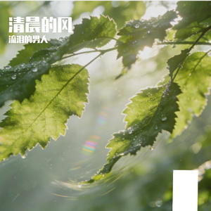 你说浪漫是下雪的夜