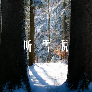 听雪说 - R&B男声