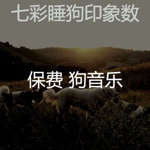 精彩幼犬环境