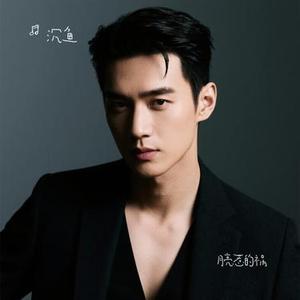 月亮惹的祸 (Cover 野哥)