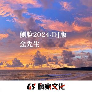 侧脸2024（DJ版）