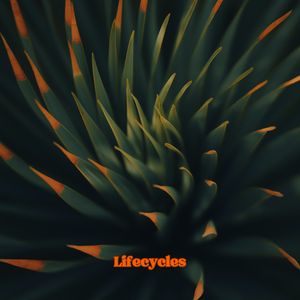 Lifecycles