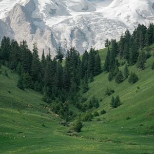 情天恨海的天上人间