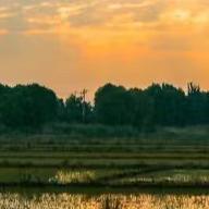 你会来看一看我吧