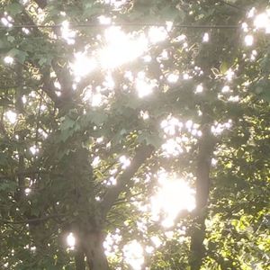 周末去公园长椅坐一下午