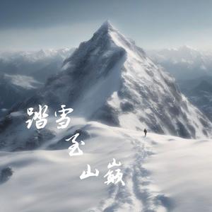 踏雪至山巅