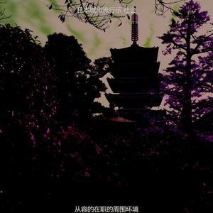 一尘不染怀旧印象数