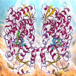 i don't like the alignment prod hexxedxxtar