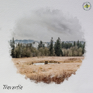 Vetka (Original Mix)