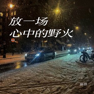 放一场心中野火