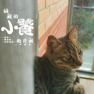给那只调皮捣蛋可我最爱的猫 (正式版)