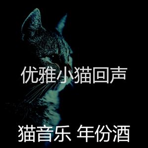 一尘不染小猫印象数