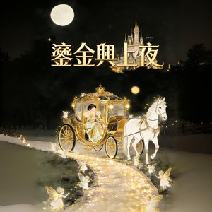 鎏金舆上夜