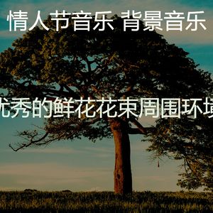 精彩浪漫的晚餐环境