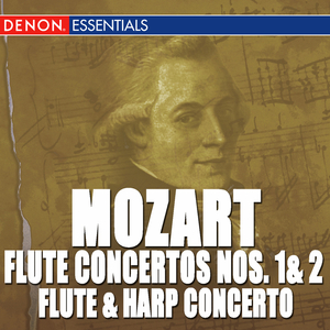 Flute Concerto No. 2 in D Major, KV 314: II. Andante ma non troppo