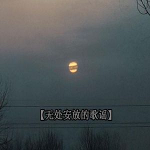 无处安放的歌谣