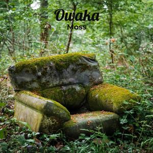 Owaka